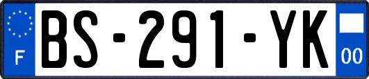 BS-291-YK