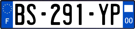 BS-291-YP