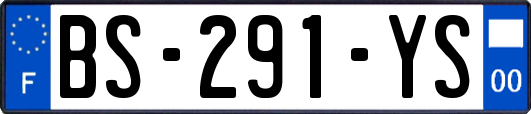 BS-291-YS