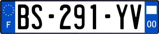 BS-291-YV