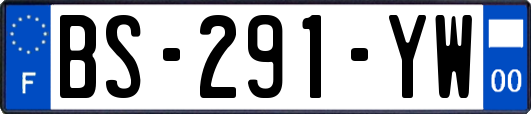 BS-291-YW