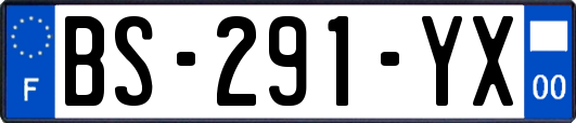 BS-291-YX