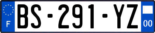 BS-291-YZ