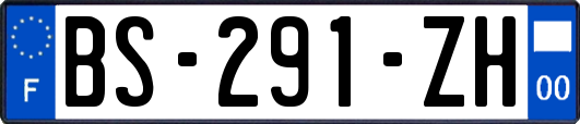 BS-291-ZH