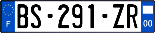 BS-291-ZR