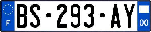 BS-293-AY