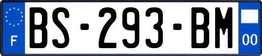 BS-293-BM