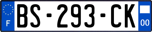 BS-293-CK