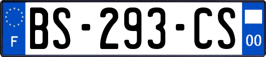 BS-293-CS