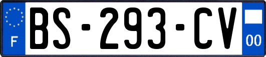 BS-293-CV
