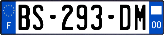BS-293-DM