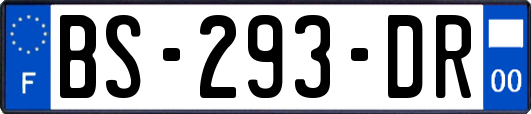 BS-293-DR