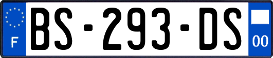 BS-293-DS