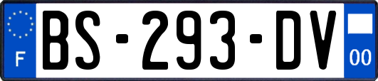 BS-293-DV