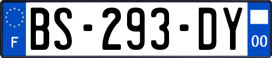 BS-293-DY