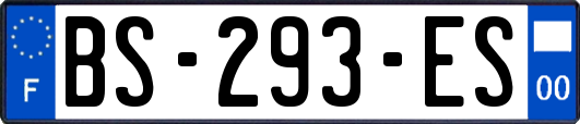 BS-293-ES