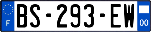 BS-293-EW