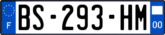 BS-293-HM