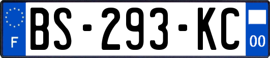 BS-293-KC