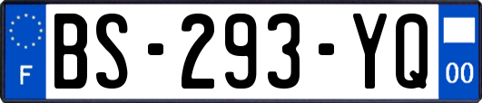BS-293-YQ