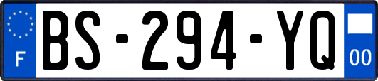 BS-294-YQ