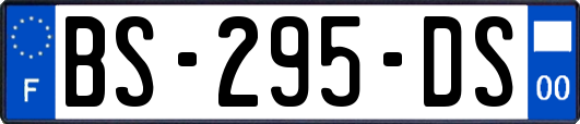 BS-295-DS