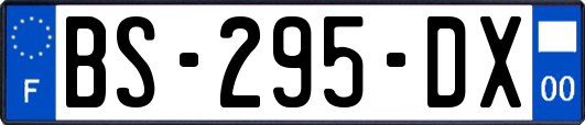 BS-295-DX