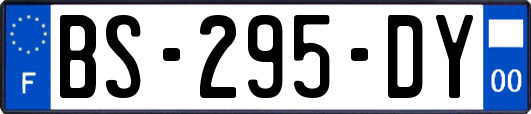 BS-295-DY