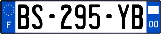 BS-295-YB