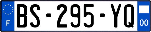 BS-295-YQ