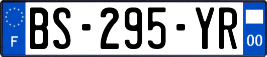 BS-295-YR