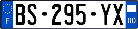 BS-295-YX