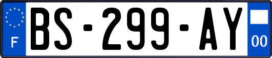 BS-299-AY