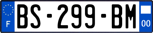 BS-299-BM