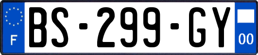 BS-299-GY