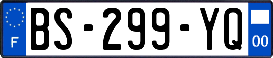 BS-299-YQ