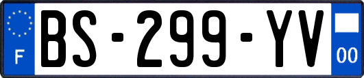 BS-299-YV
