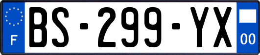 BS-299-YX