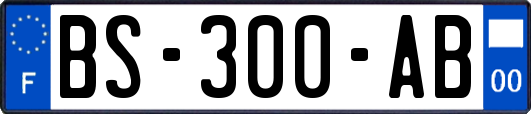 BS-300-AB