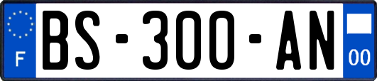 BS-300-AN