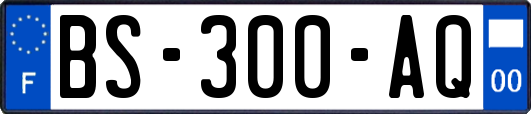 BS-300-AQ