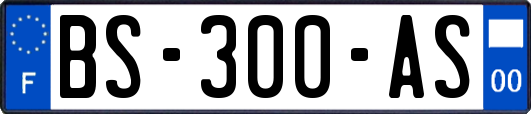 BS-300-AS