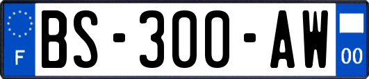 BS-300-AW