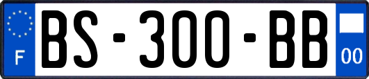 BS-300-BB