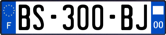 BS-300-BJ