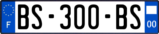 BS-300-BS