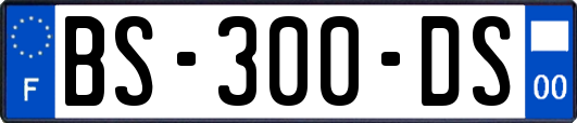 BS-300-DS