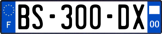 BS-300-DX