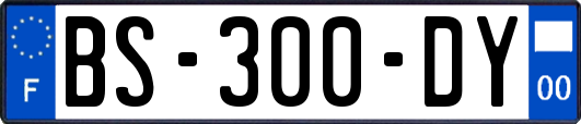 BS-300-DY