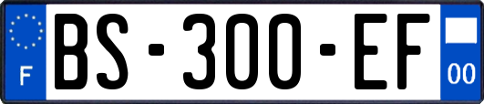 BS-300-EF